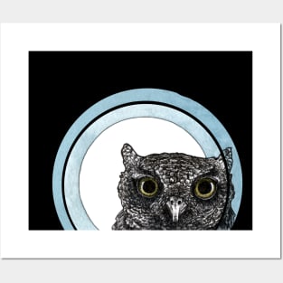 Owl Posters and Art